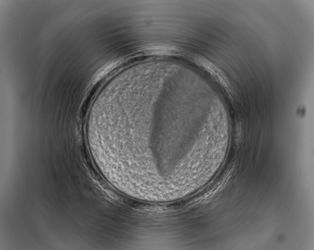 X0000097990970200804211100