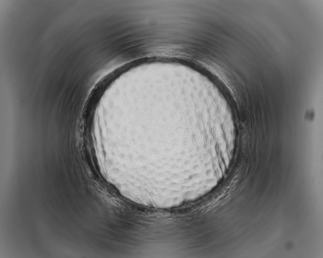 X0000097990971200804211100