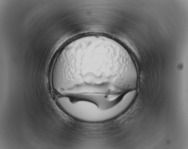 X0000097990972200804211100