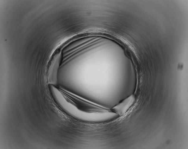 X0000097990973200804211100