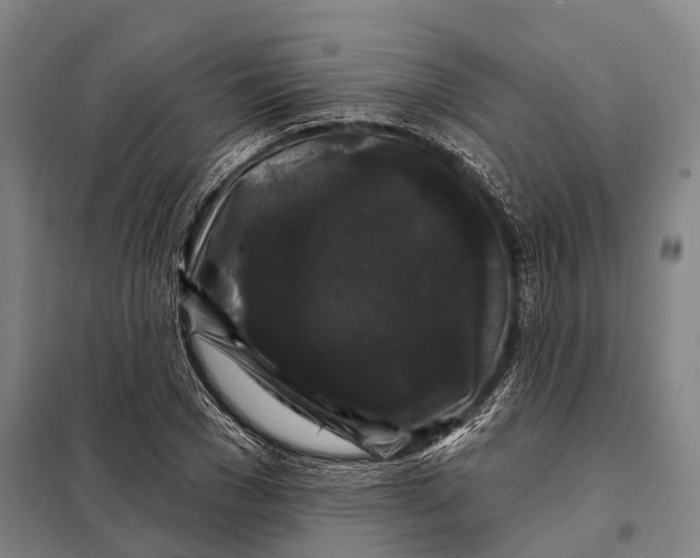 X0000097990977200804211100