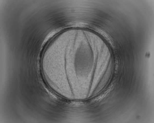 X0000097990978200804211100