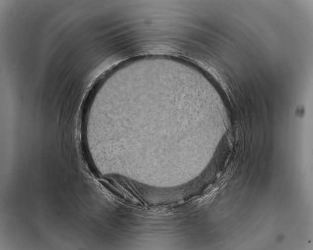 X0000097990979200804211100