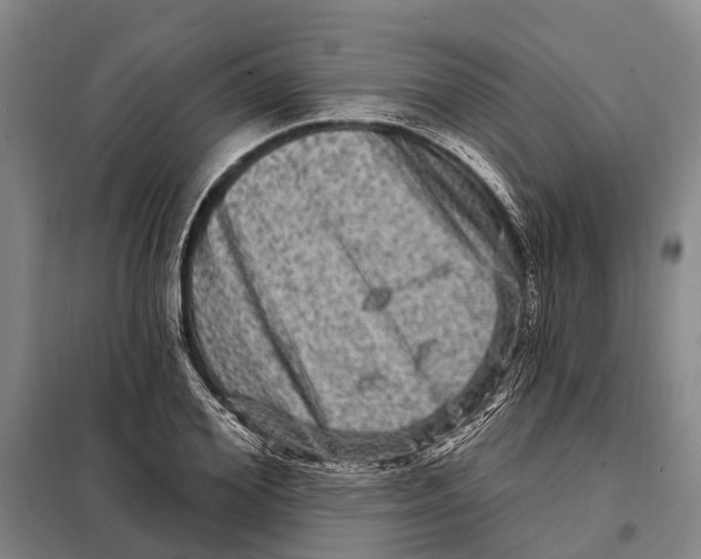 X0000097990980200804211059