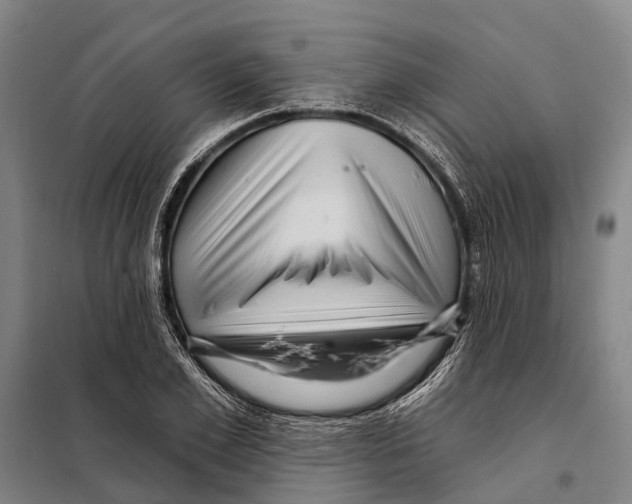 X0000097990981200804211059