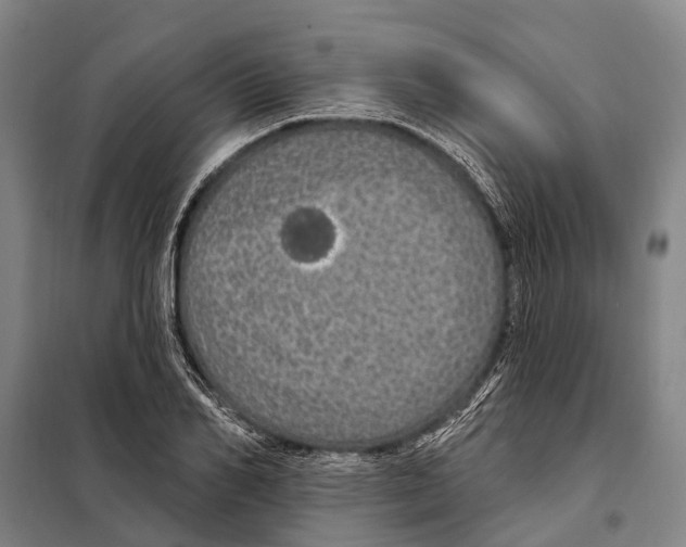 X0000097990982200804211059