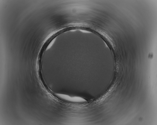 X0000097990983200804211059