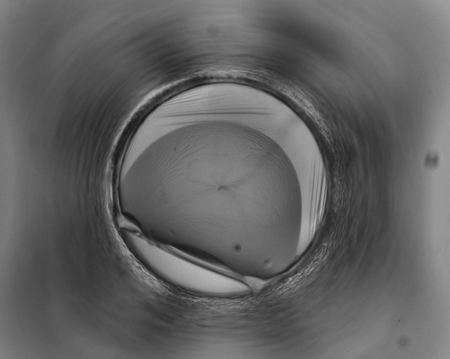 X0000097990984200804211059