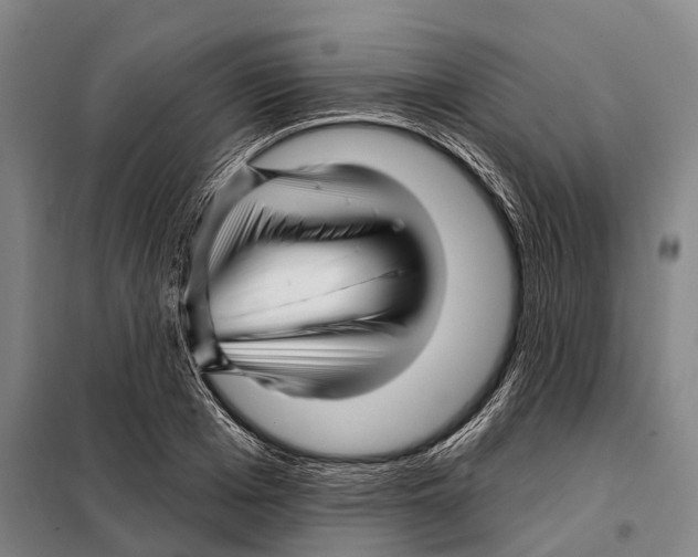 X0000097990985200804211059