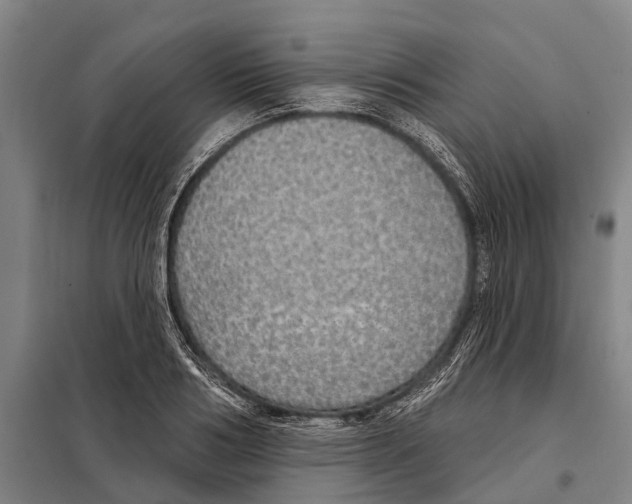 X0000097990986200804211059