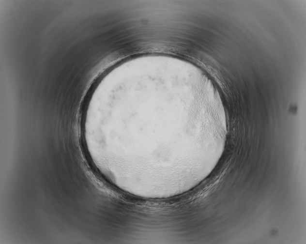 X0000097990987200804211059