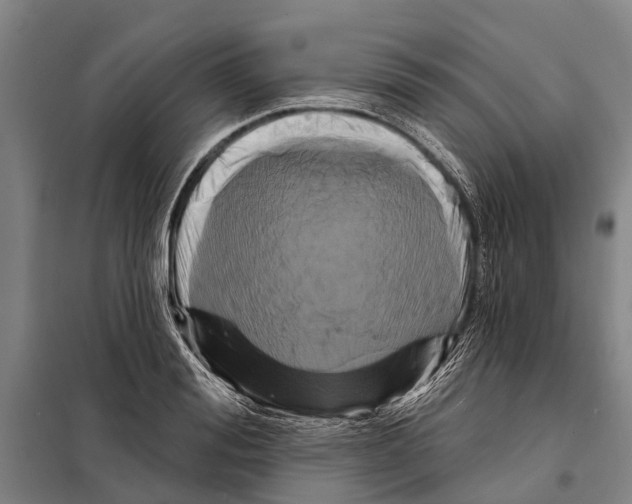 X0000097990988200804211059