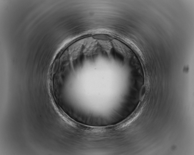 X0000097990989200804211059