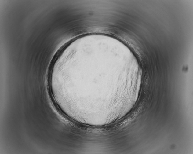 X0000097990991200804211059