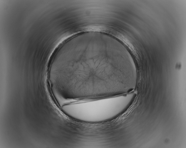 X0000097990992200804211059