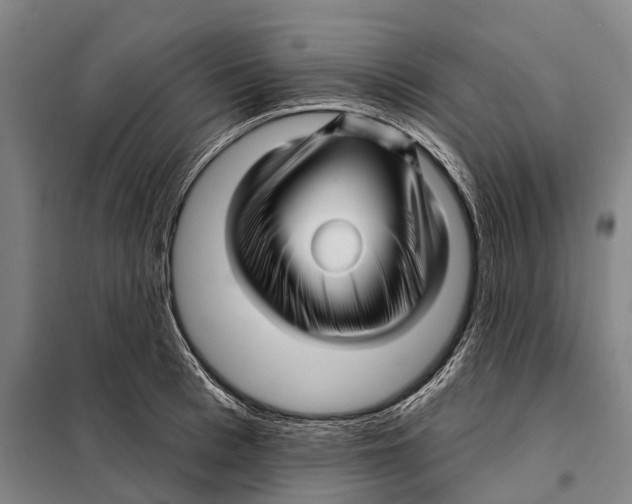 X0000097990993200804211059