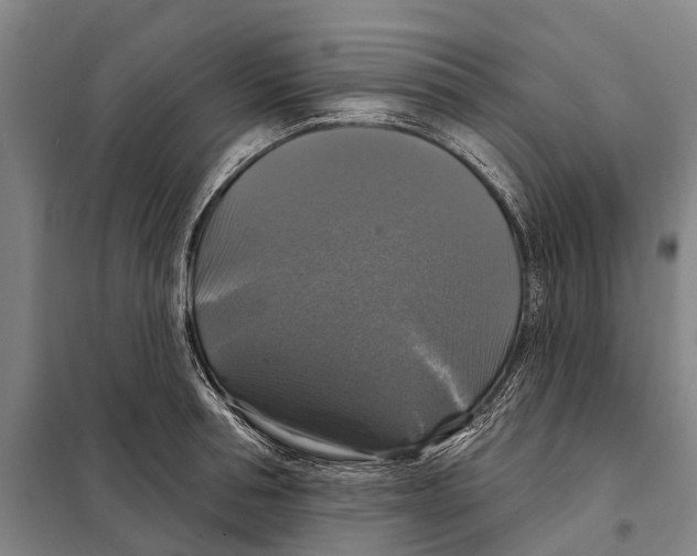 X0000097990994200804211059