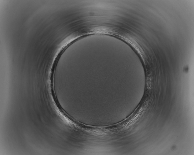 X0000097990995200804211059