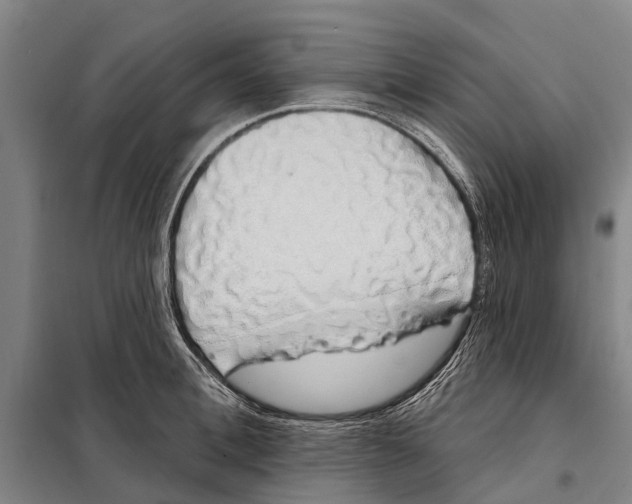 X0000097990996200804211059