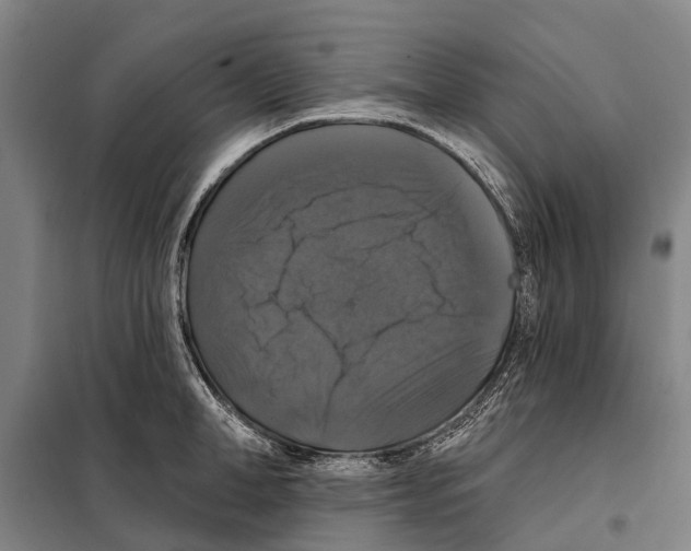 X0000097990998200804211059