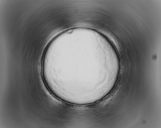 X0000097990999200804211059