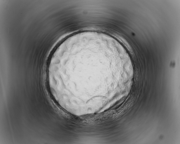 X0000097991000200804211059