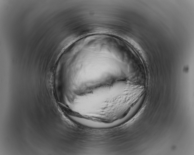 X0000097991001200804211059