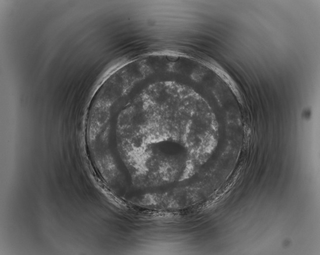 X0000097991002200804211059