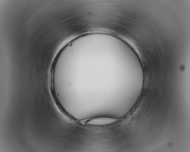 X0000097991003200804211059