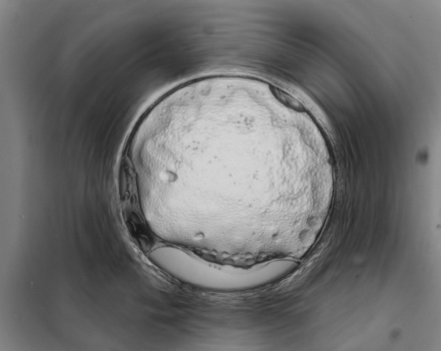 X0000097991004200804211059