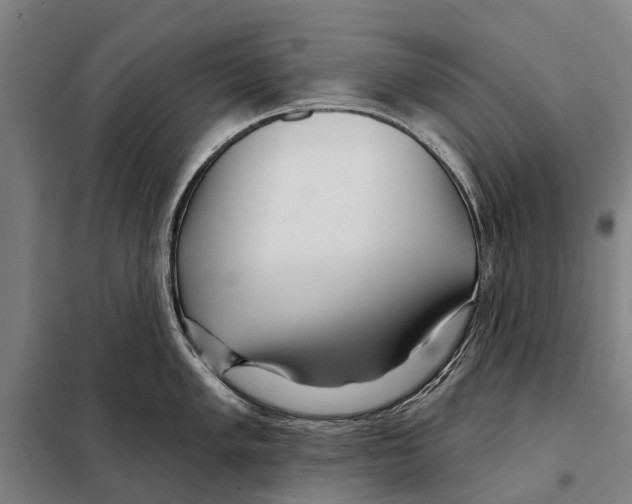 X0000097991005200804211059