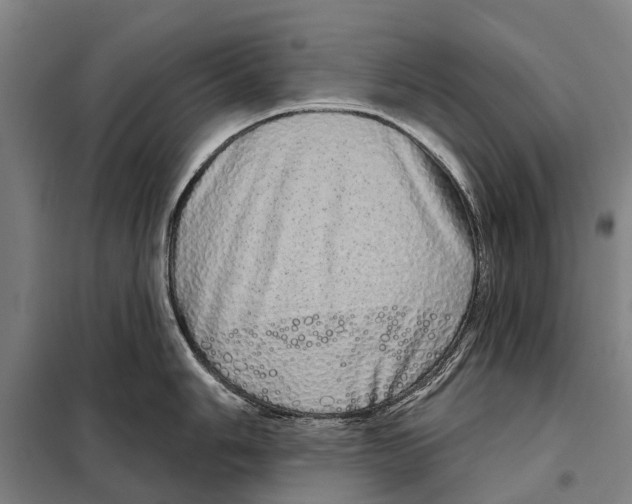 X0000097991006200804211059