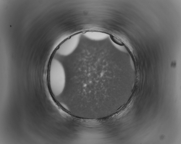 X0000097991007200804211059