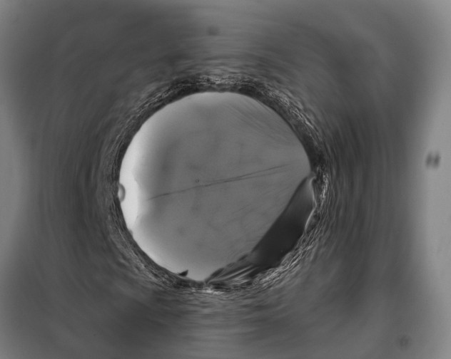 X0000097991009200804211058