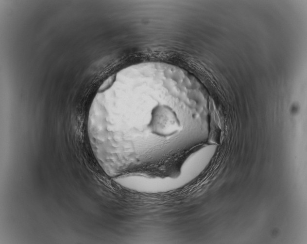 X0000097991010200804211058