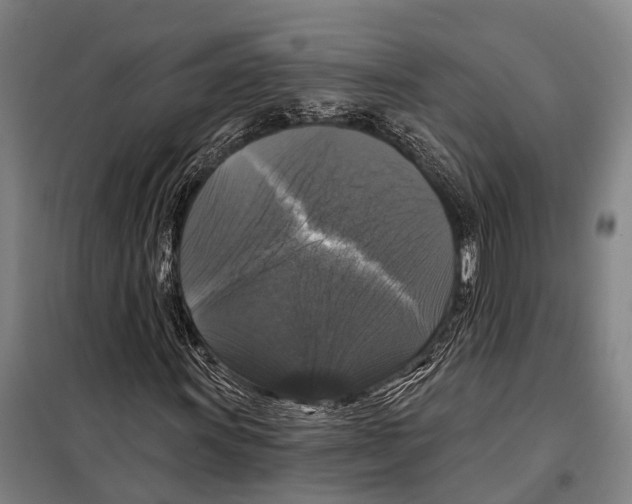 X0000097991011200804211058