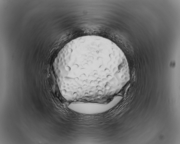 X0000097991012200804211058