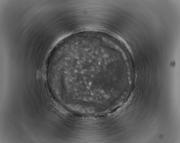 X0000097991019200804211058