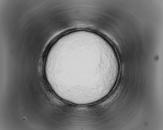 X0000097991021200804211058