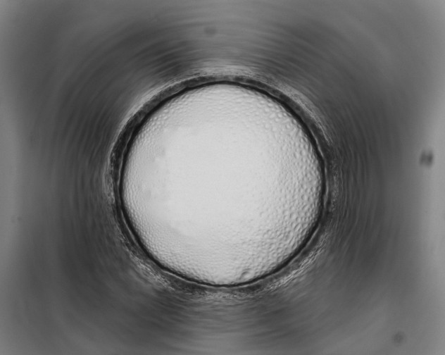 X0000097991022200804211058