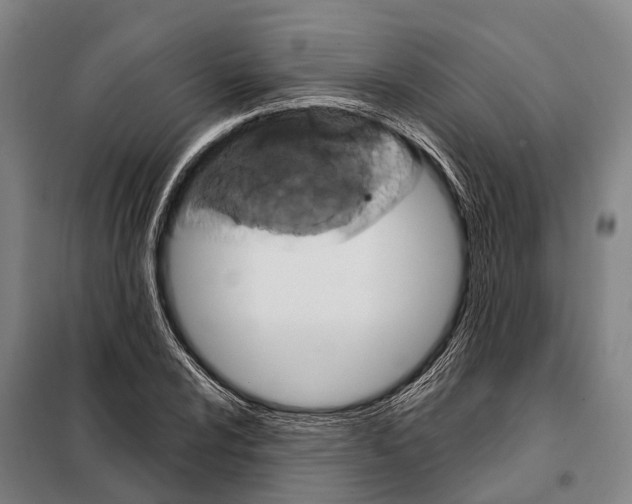 X0000097991024200804211058