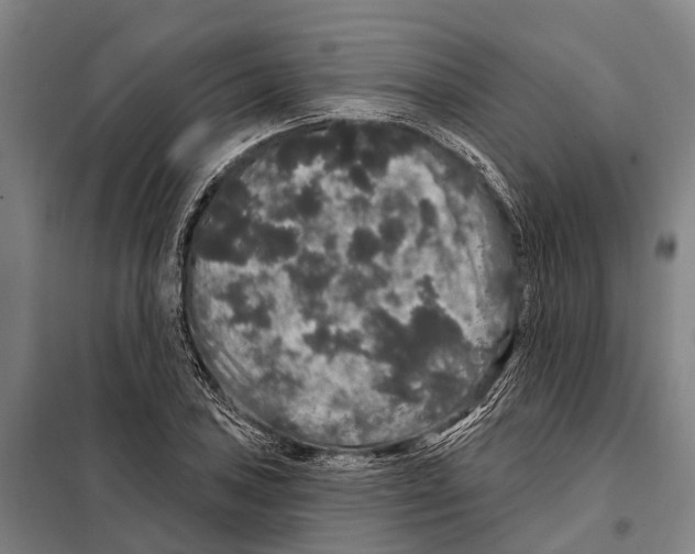 X0000097991027200804211058