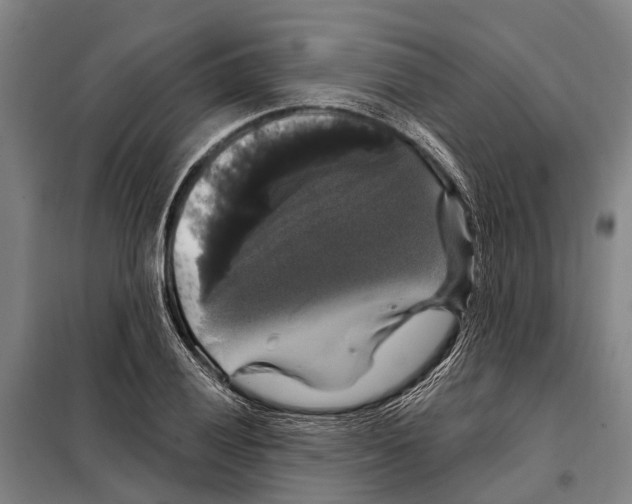 X0000097991028200804211058