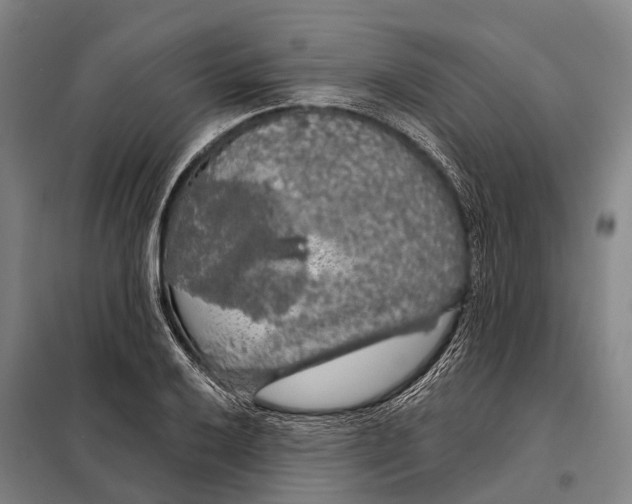 X0000097991032200804211058