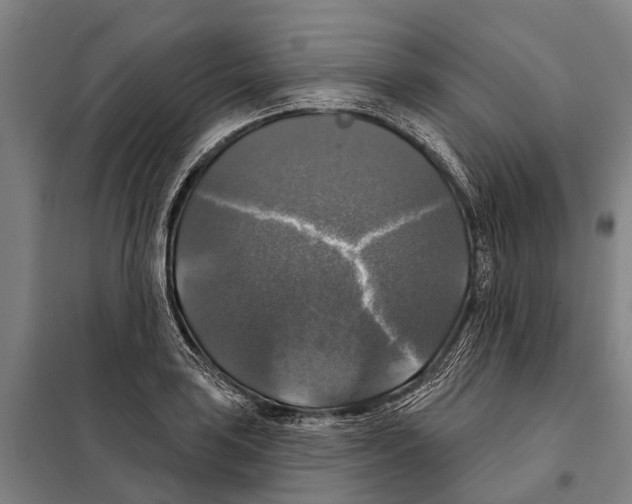 X0000097991035200804211058