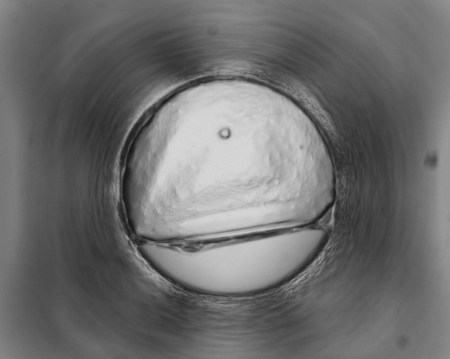 X0000097991036200804211058