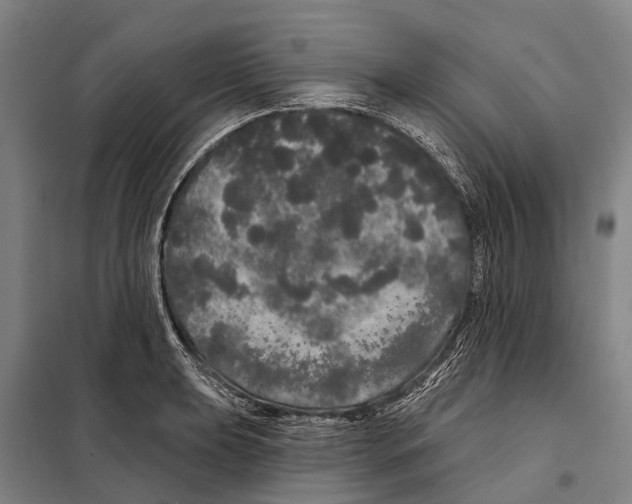 X0000097991039200804211059