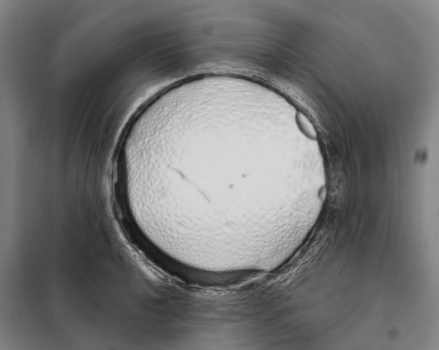 X0000097991040200804211059