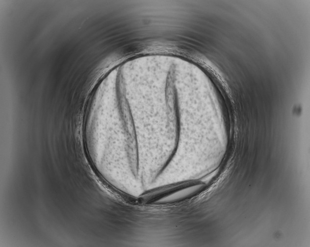 X0000097991041200804211059