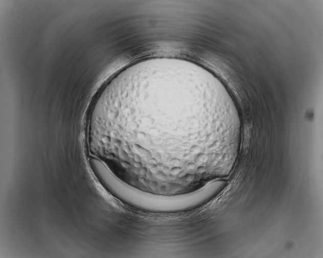 X0000097991042200804211059